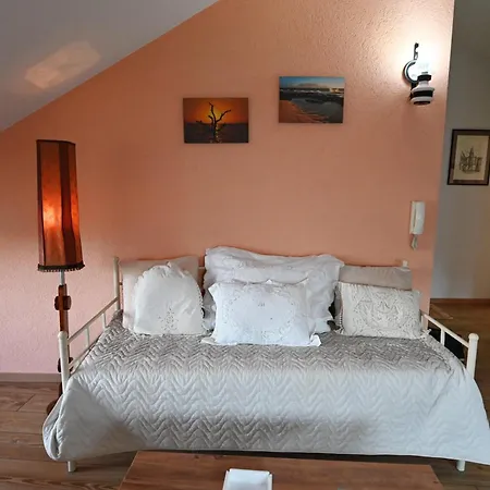 Eke Irin Apartment Ohrid